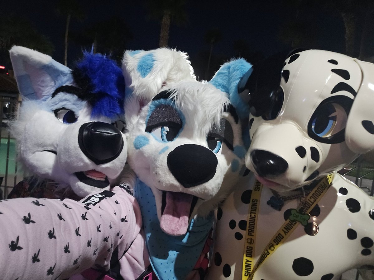 ArcticDalmatian's tweet image. Yeah #LVFC2026 was pretty lit, would go again :3 #FursuitFriday