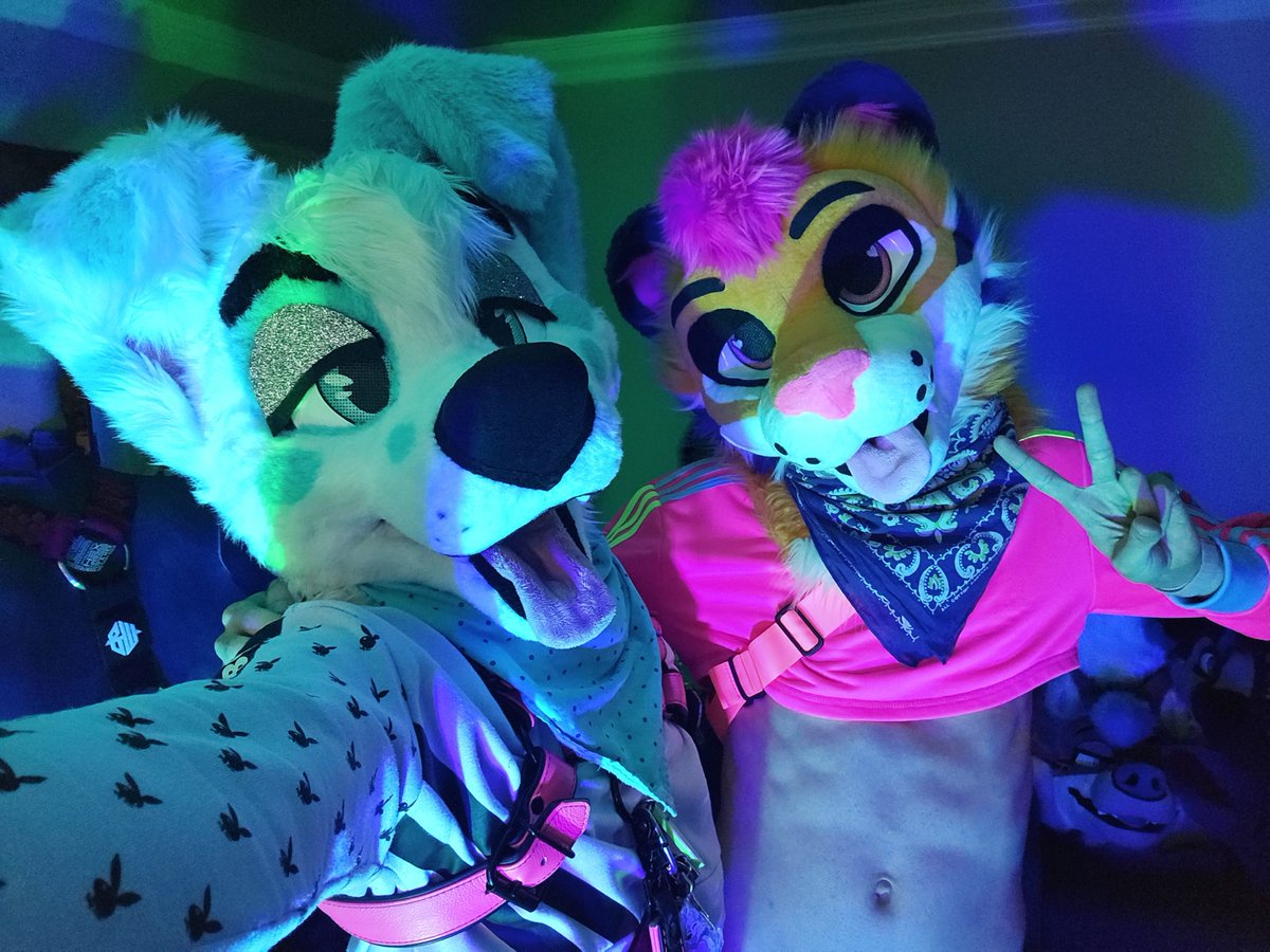 ArcticDalmatian's tweet image. Yeah #LVFC2026 was pretty lit, would go again :3 #FursuitFriday