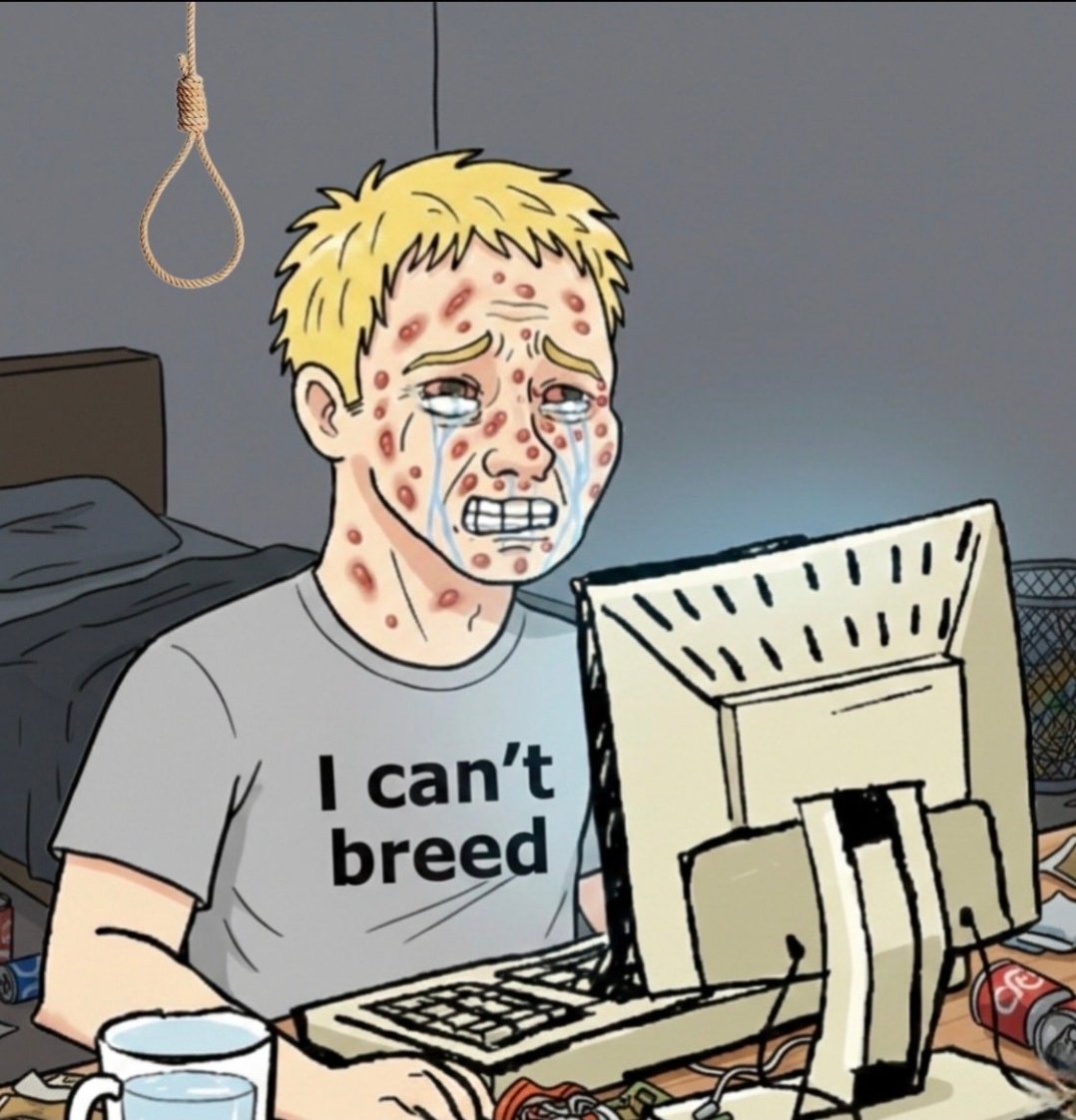 Rippidy tweet media