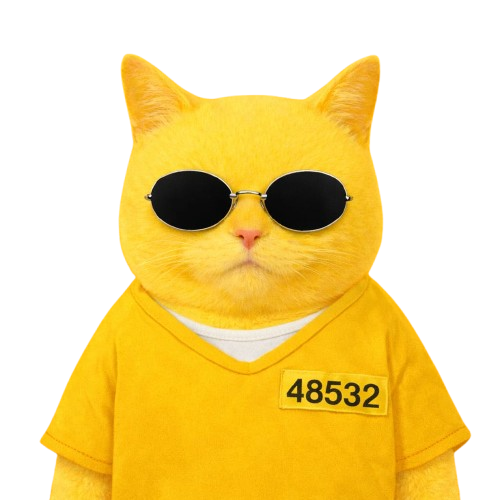 Yellow Catz tweet media