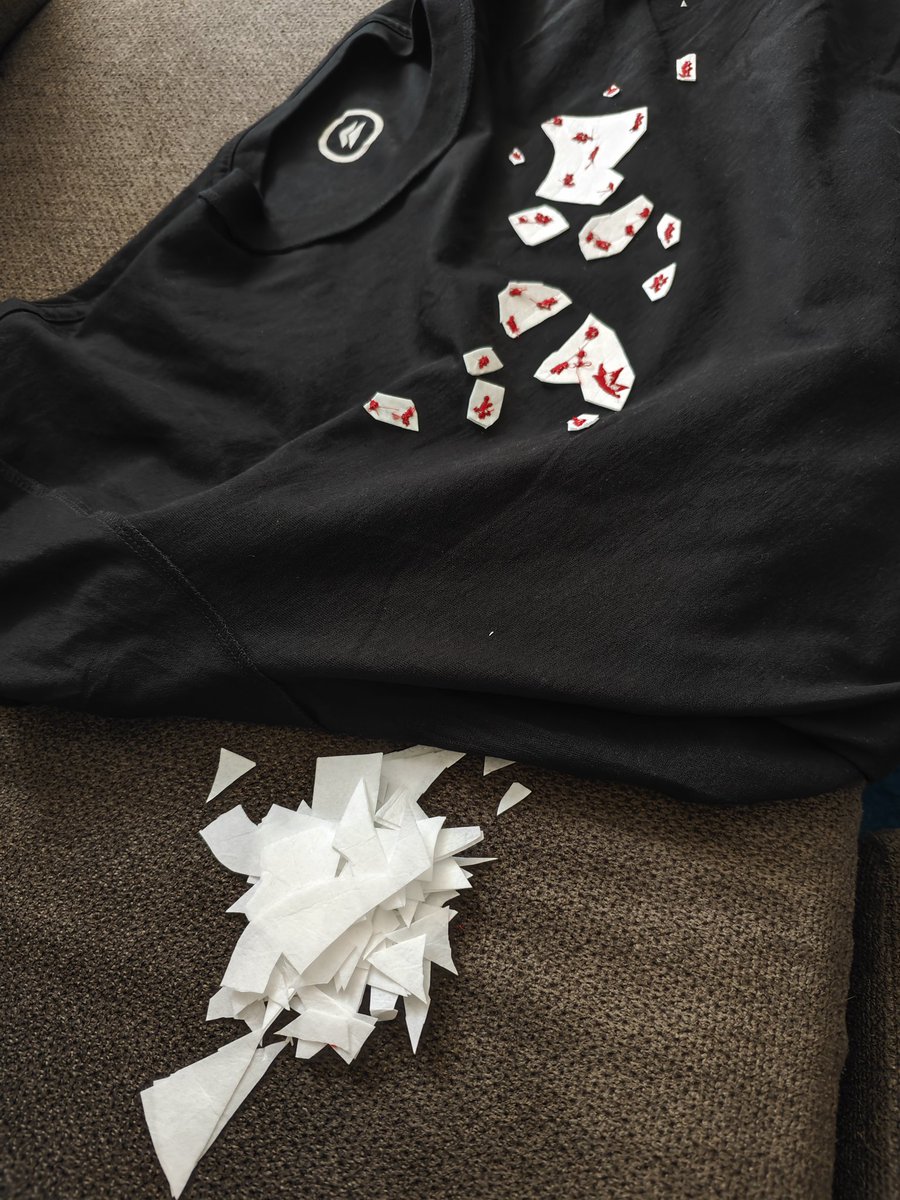 Frandpm's tweet photo. Que llegue la camiseta de @PlayStation  Rewards. Muy chula. Pero que luego tenga que recortar yo el patrón entero del bordado me parece lamentable. La última vez que pillo un rewards. @PlayStationES https://t.co/VxD8bEtz3x