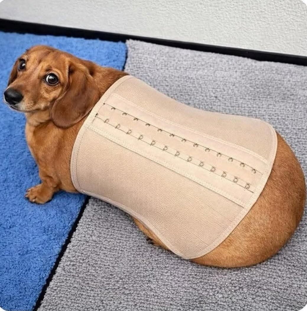 Shak 💜 tweet media