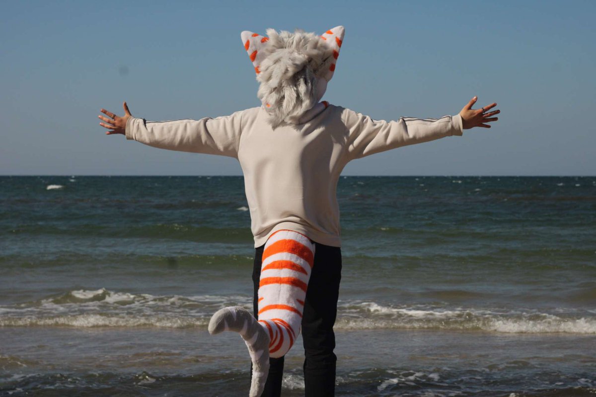 Lanifs_'s tweet image. Home sweet home pt. 1 🌊🦈

#FursuitFriday #furry #shark #beach #fursuit