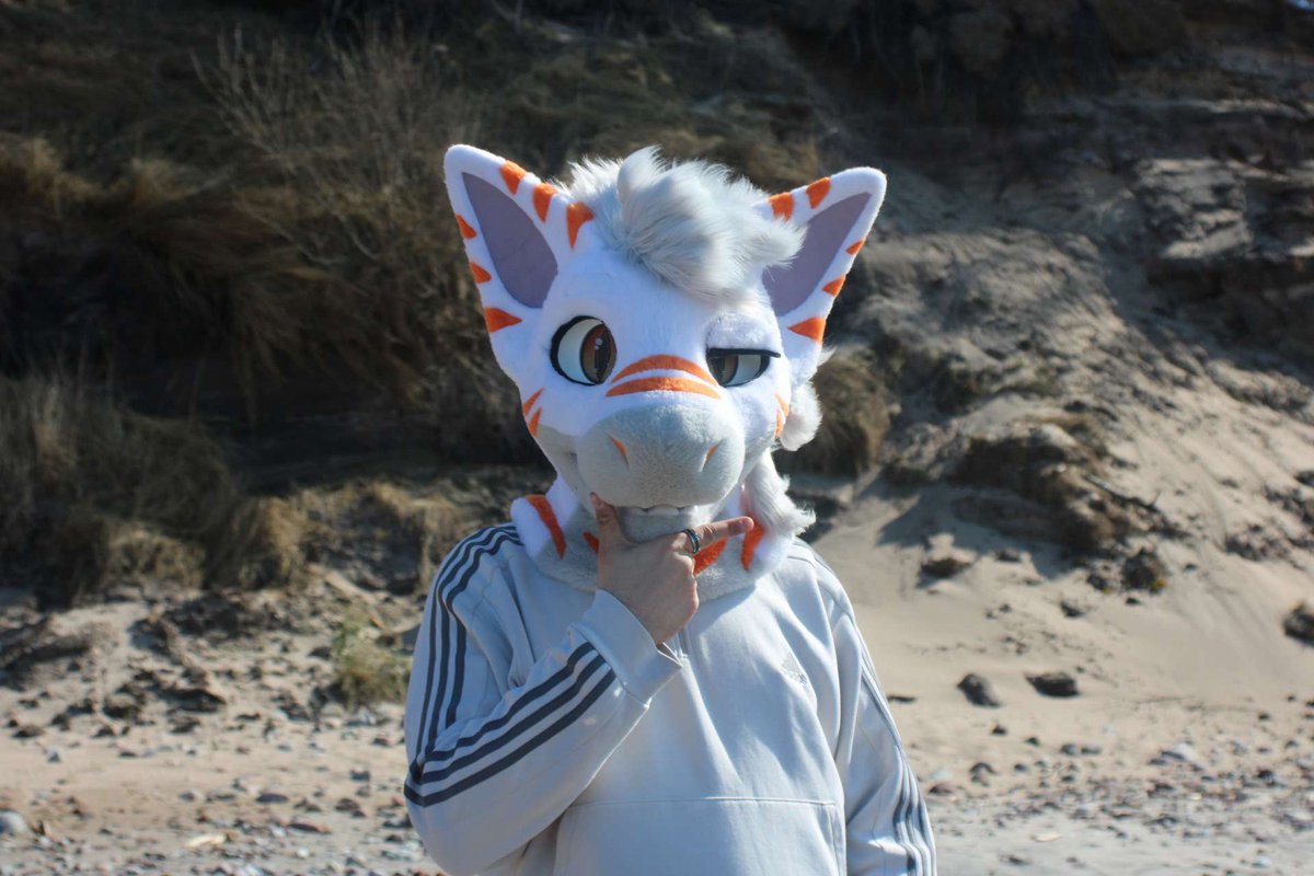 Lanifs_'s tweet image. Home sweet home pt. 1 🌊🦈

#FursuitFriday #furry #shark #beach #fursuit