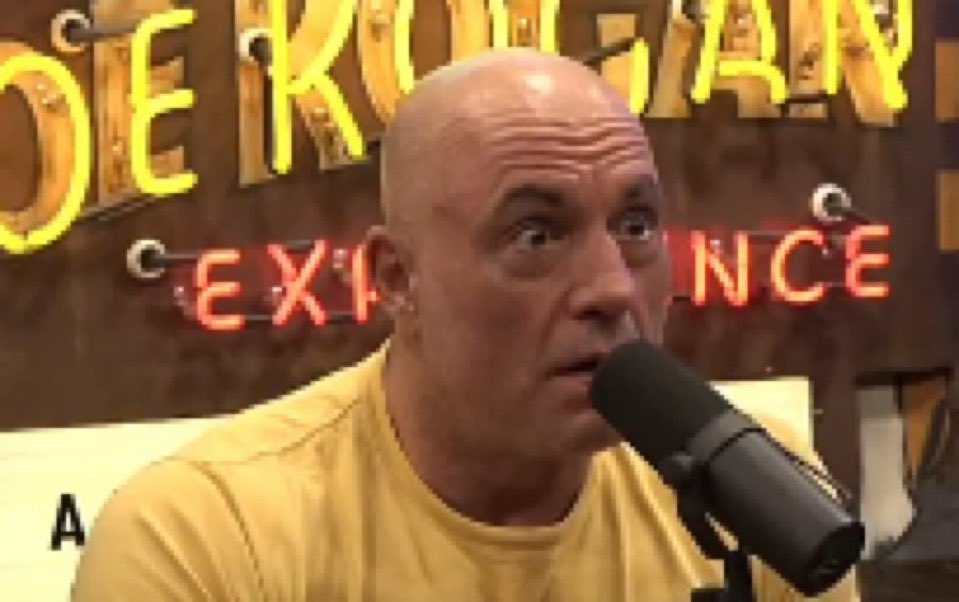 Gator Gar tweet media