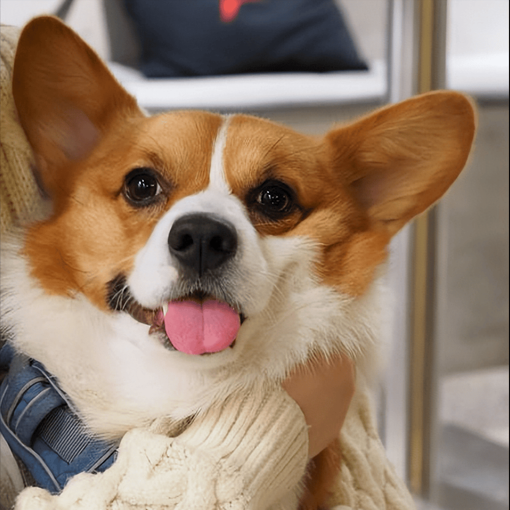 Emily Staite tweet media