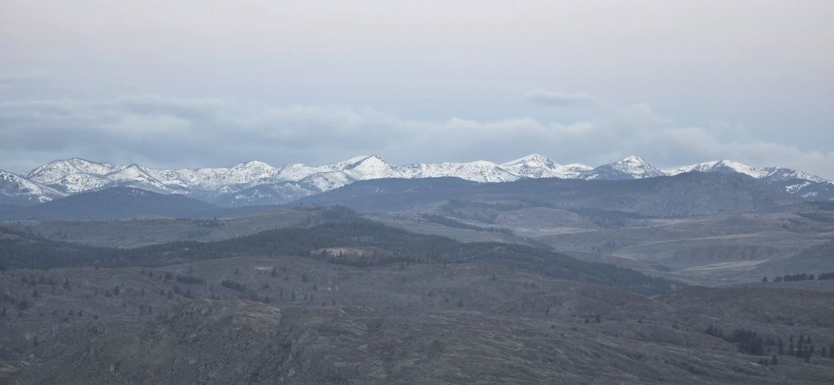 Grind Stone tweet media