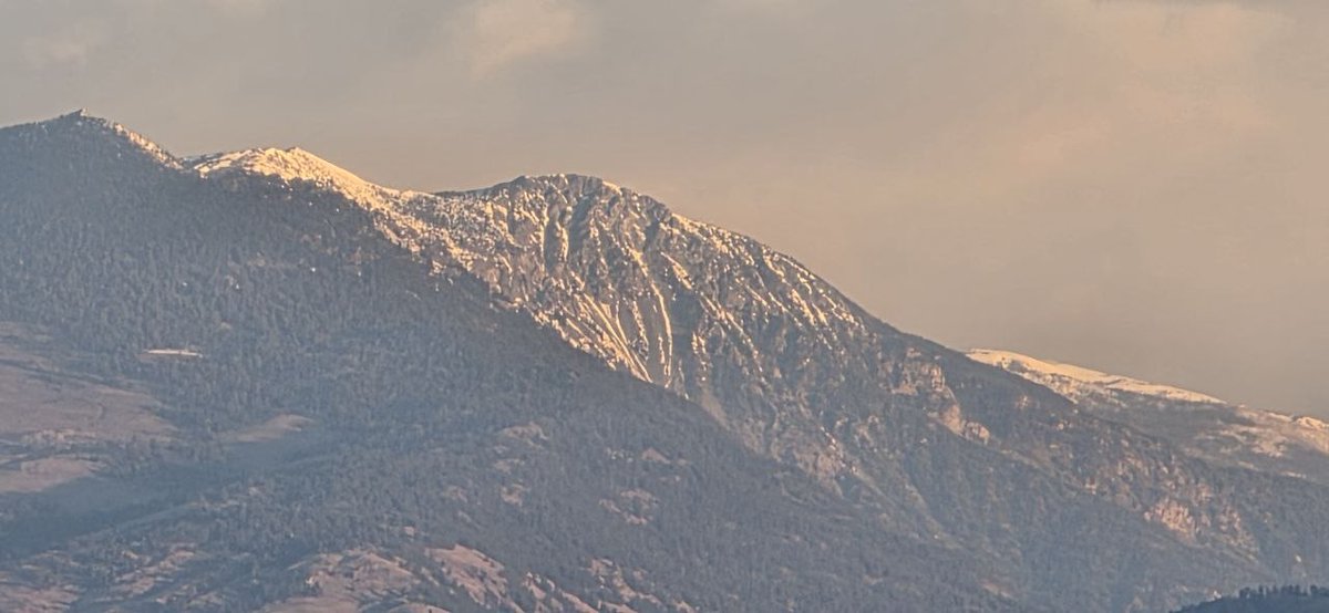 Grind Stone tweet media