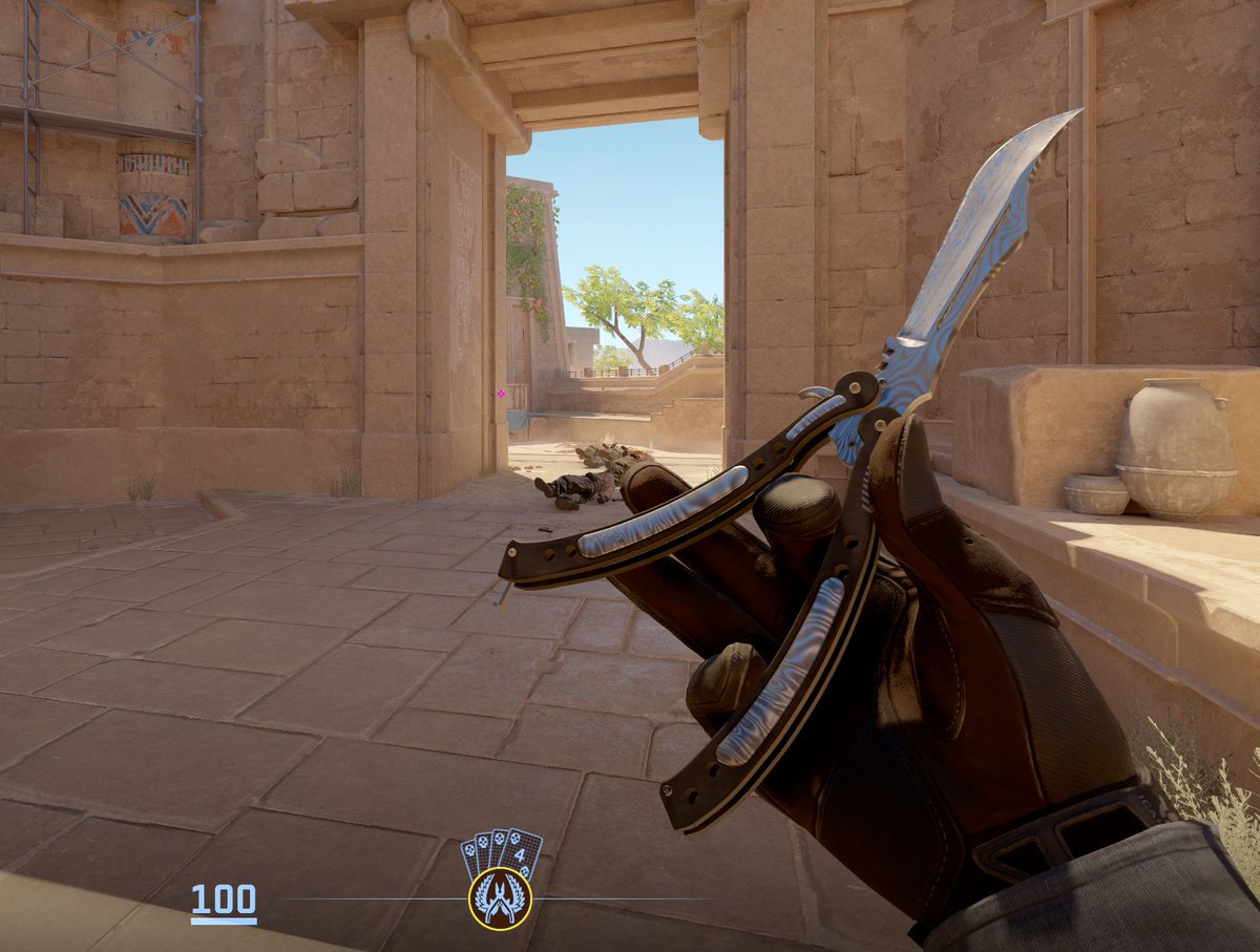 Getting more into CS trading/collecting lately.

Mostly into stickers, capsules, and playskins.
Current combo: Nocts + Butterfly Damascus Steel.
Thinking my next knife is gonna be a Phase 1 Doppler Bayonet.