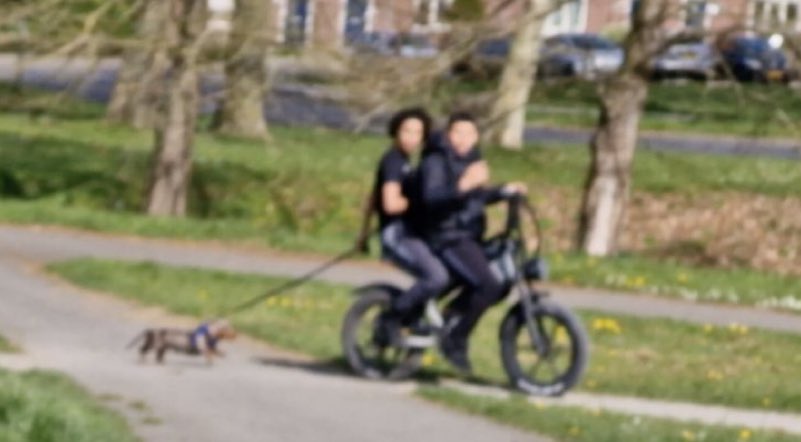 Joost Jansen tweet media