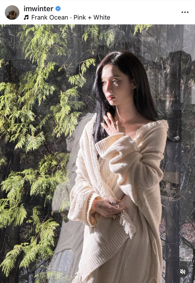 imwinner tweet media