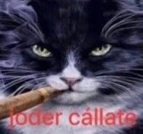 Lu ୨ৎ tweet media