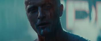 Beam CTO | beamcto.beam | #PrivacyIsNormal tweet media