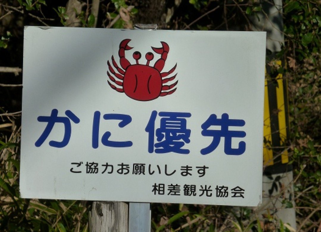 海賊さん tweet media
