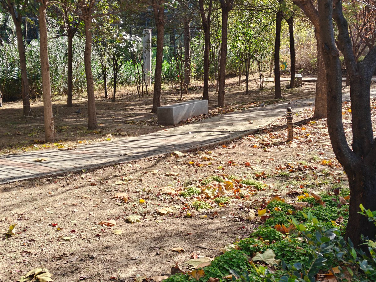 ดิษฐ์ษวัฒน์ สอนสมนึก tweet media