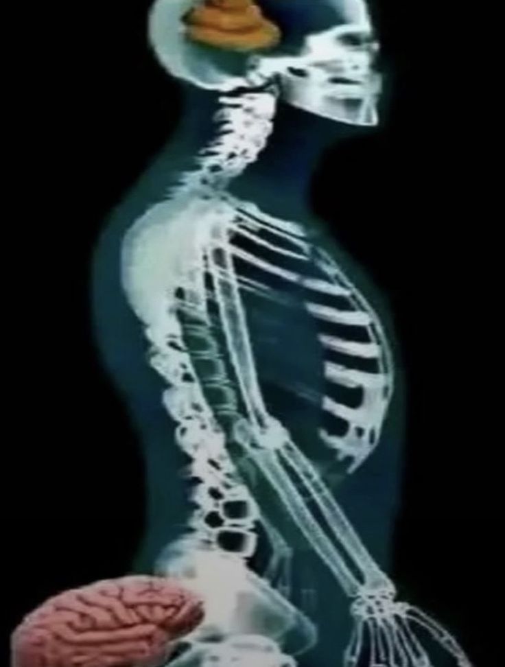 mini_boss👻 tweet media