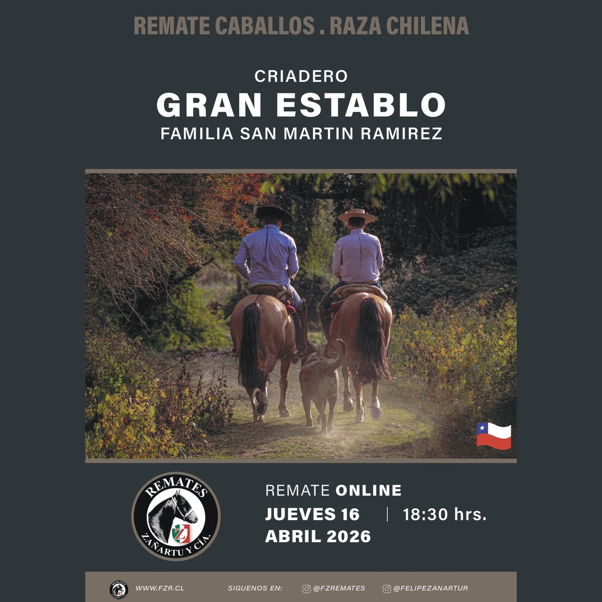 Remates Fernando Zañartu Rozas y Cía. Ltda - CHILE tweet media