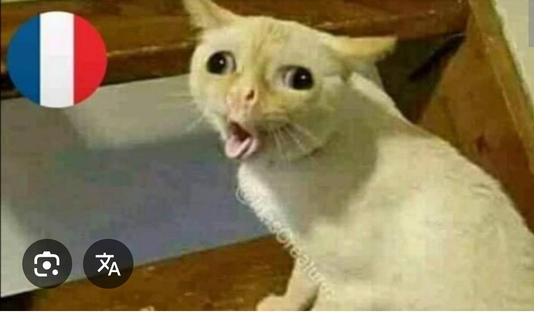 Beuve 🐧 🍉 tweet media