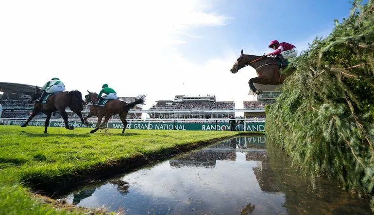 🐦Pigeon🐎Island🐦 tweet media