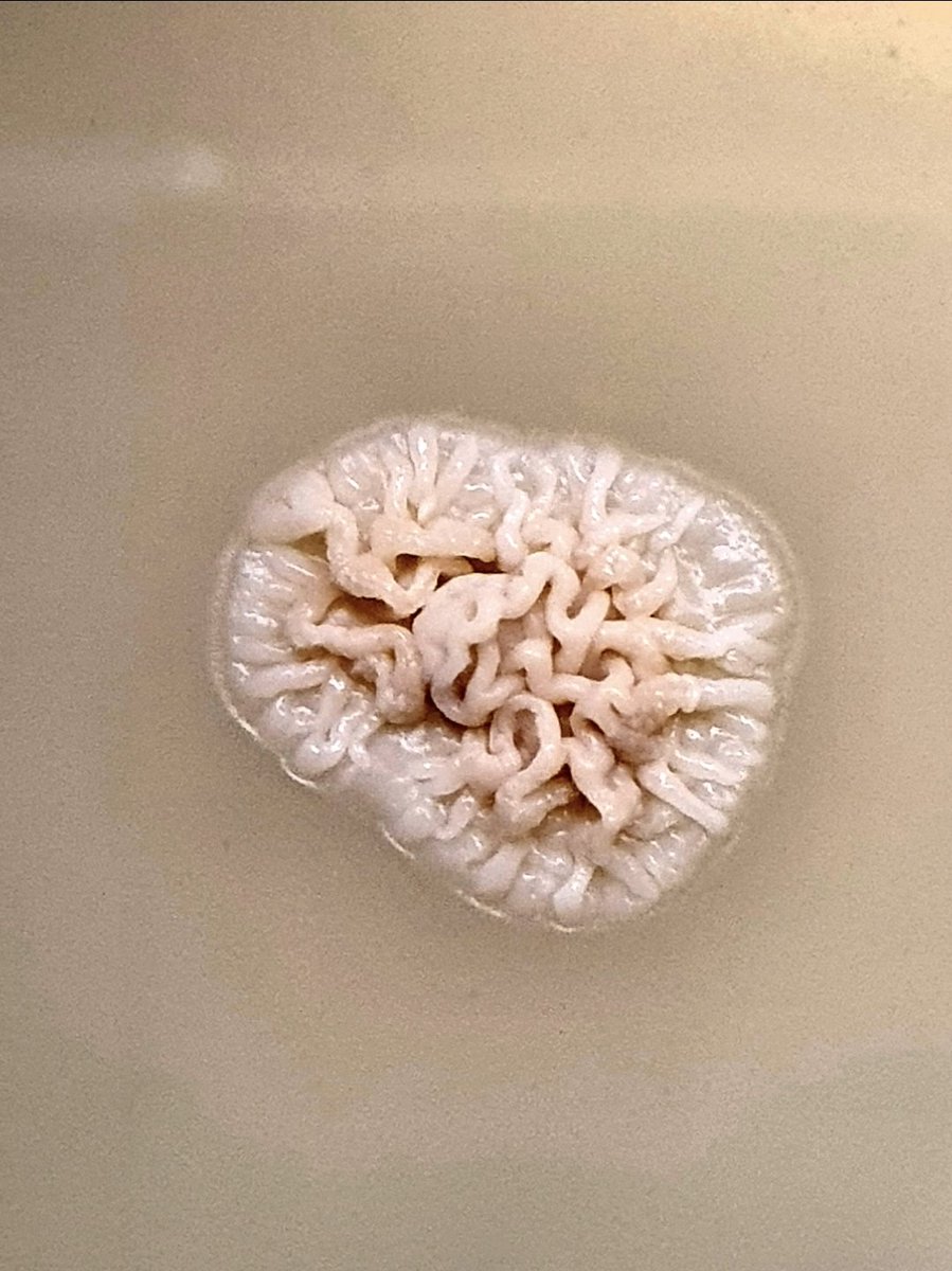 Aamer Kurdi tweet media