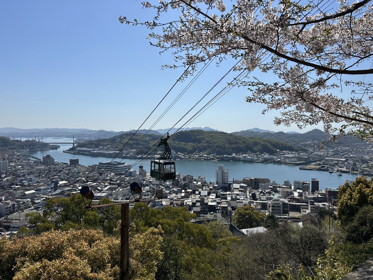 Nooo_BU's tweet photo. 桜見て癒されてきました~🌸

#千光寺 #打吹公園 #鶴山公園 https://t.co/HVW2lfGhfi
