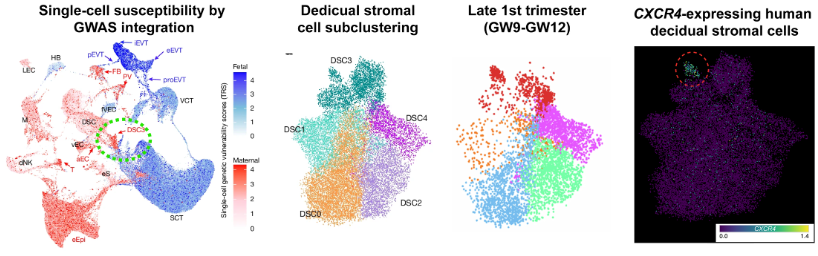 James Zwierzynski tweet media