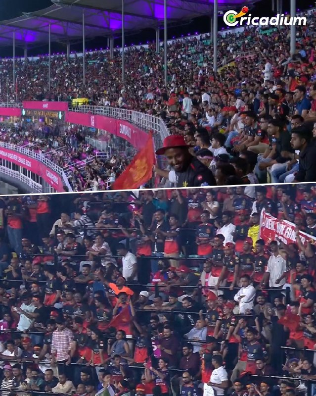 Cricadium tweet media