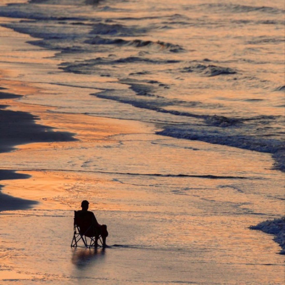 Himothee Chalamet tweet media