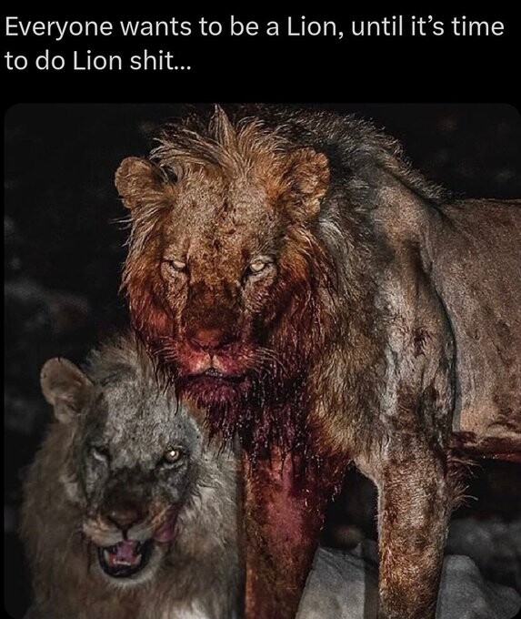 kniveCross tweet media