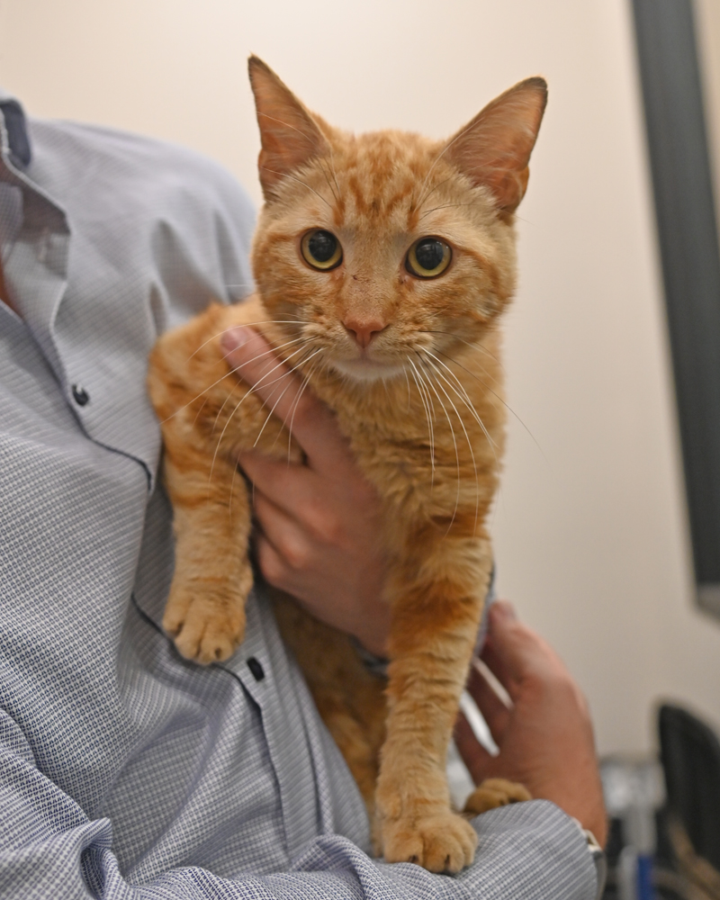 Helen Woodward Animal Center tweet media
