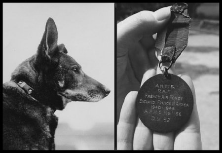 Untold War Stories tweet media