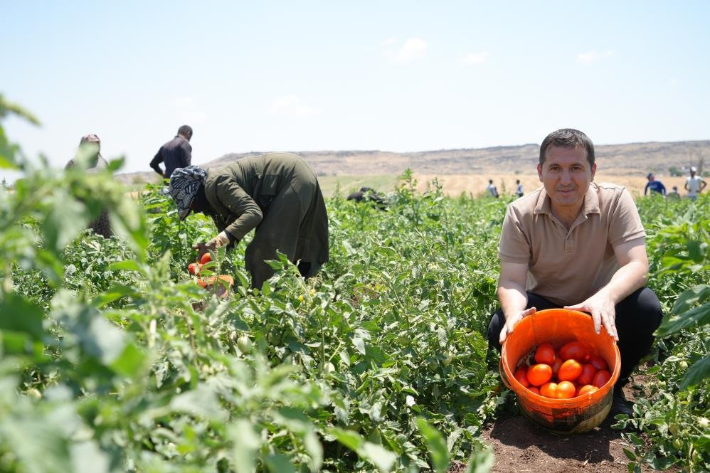 Prof. Dr. Mustafa ÖZTÜRK tweet media