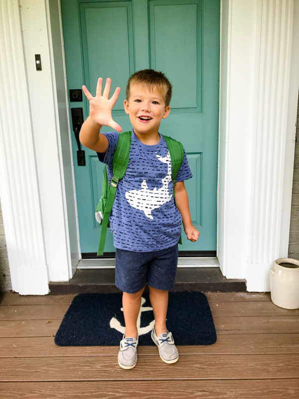 Manfrompa tweet media