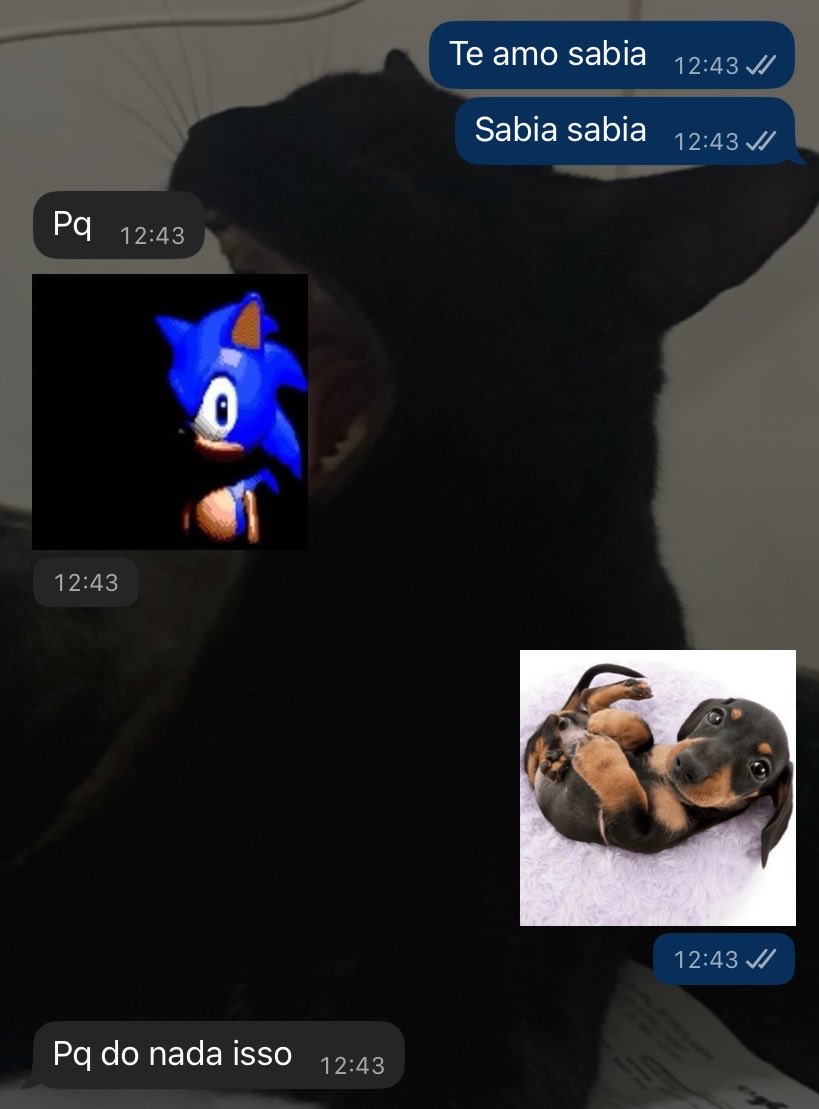 Palhaço sapequinha tweet media