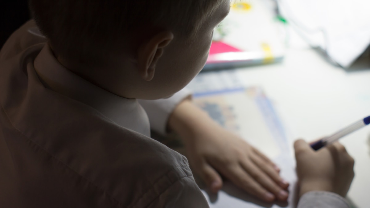 LA NACION tweet media