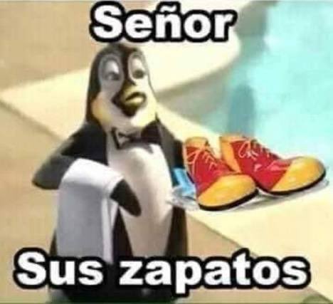 WILBERT809 tweet media