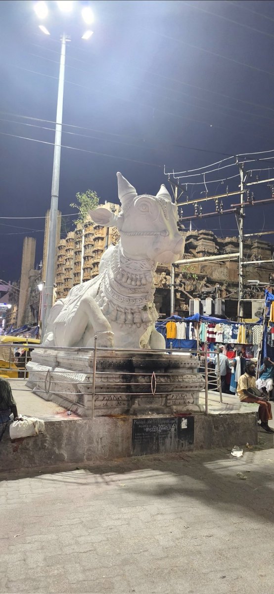 ஆனந்தி tweet media