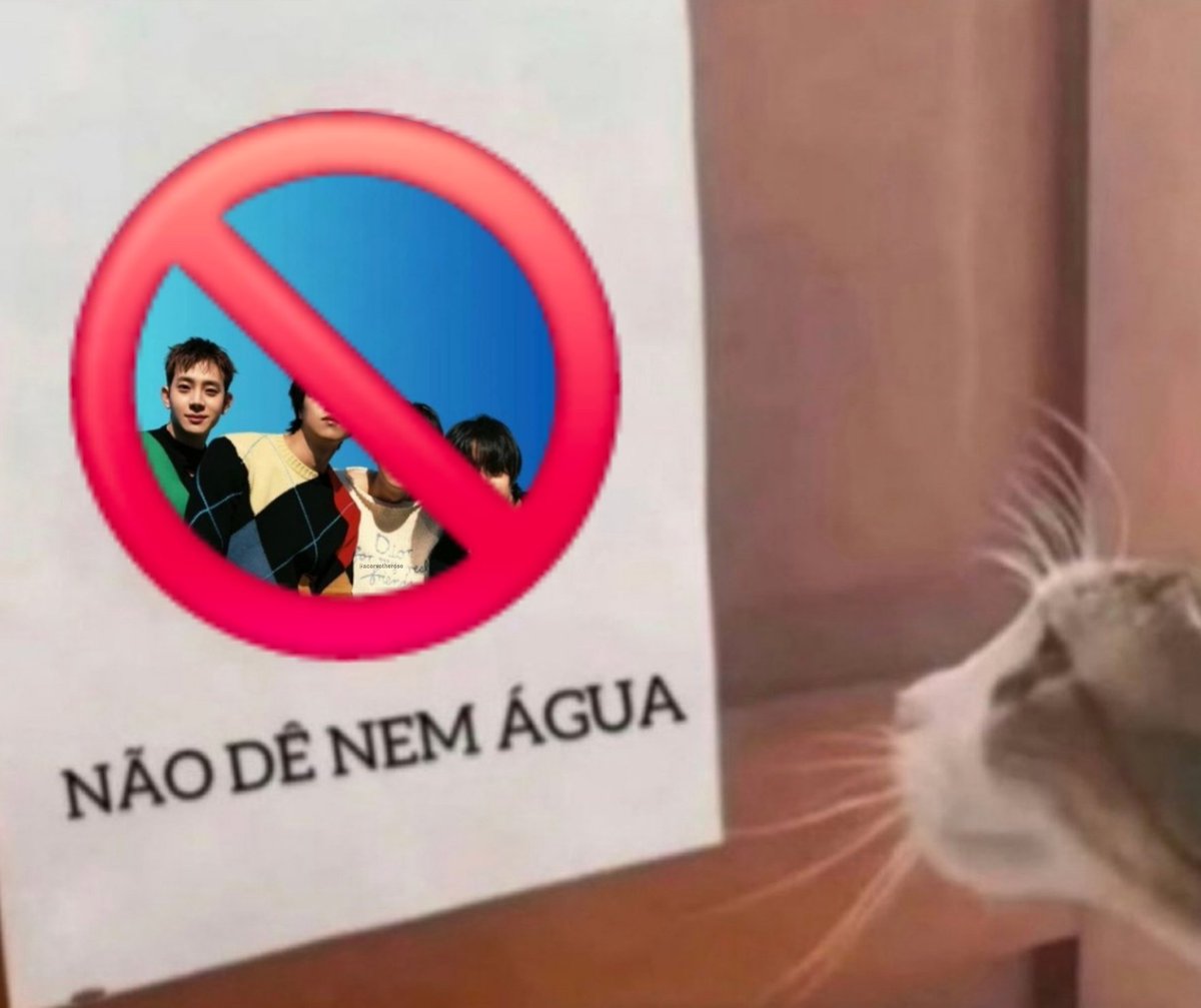 acervo the rose tweet media