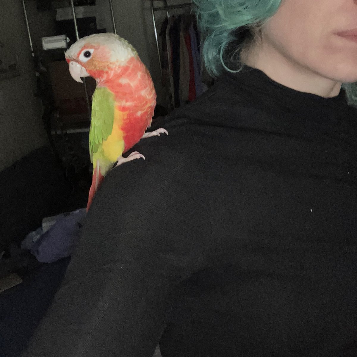 Goth Math tweet media