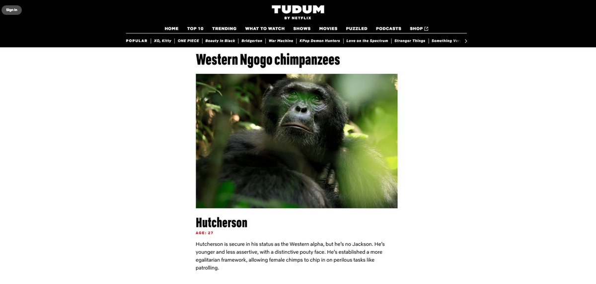 slim shady /r tweet media