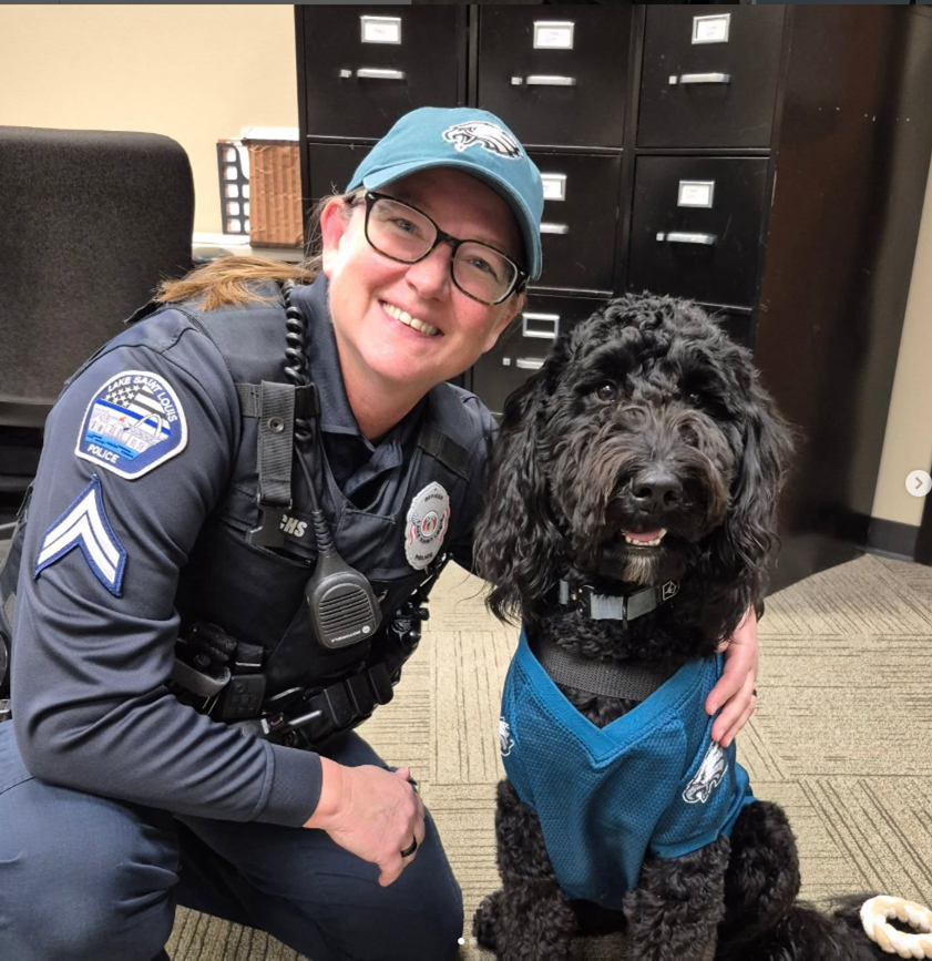 Lake Saint Louis Police tweet media