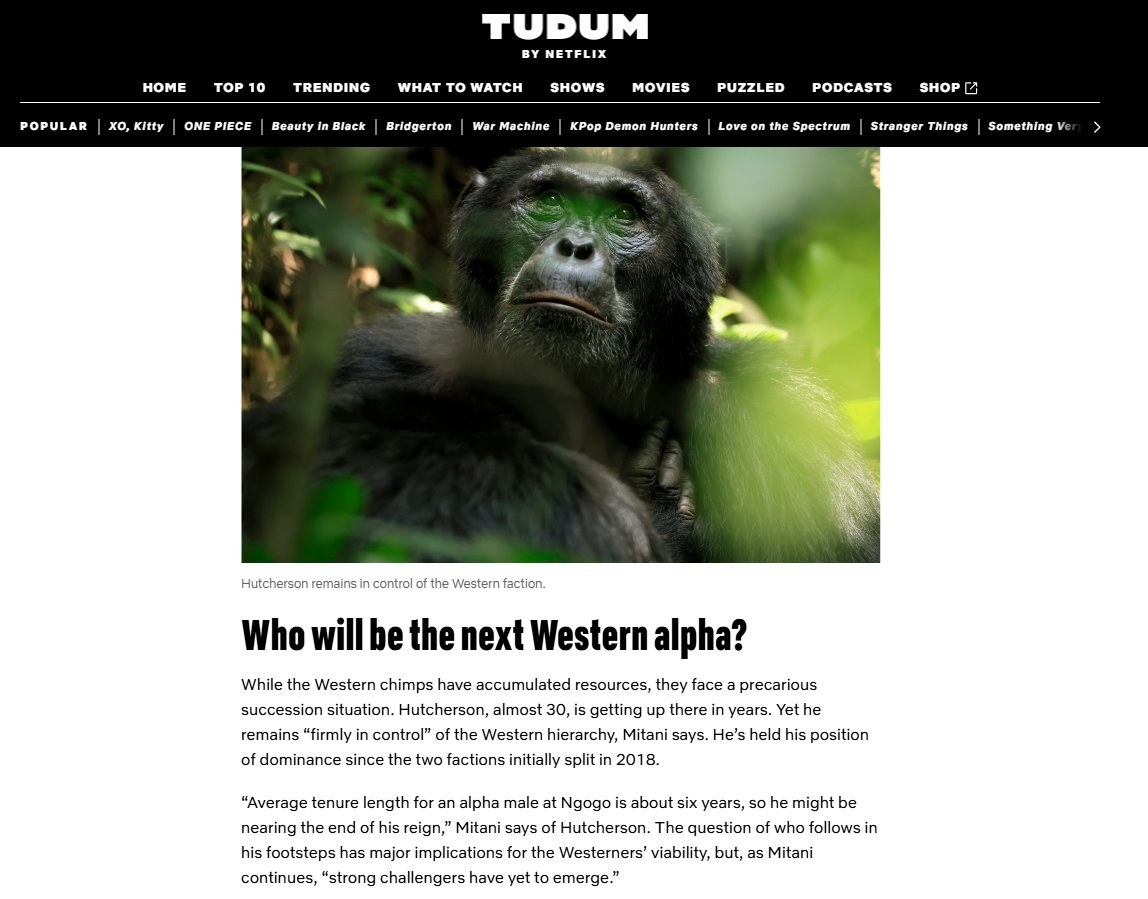 slim shady /r tweet media