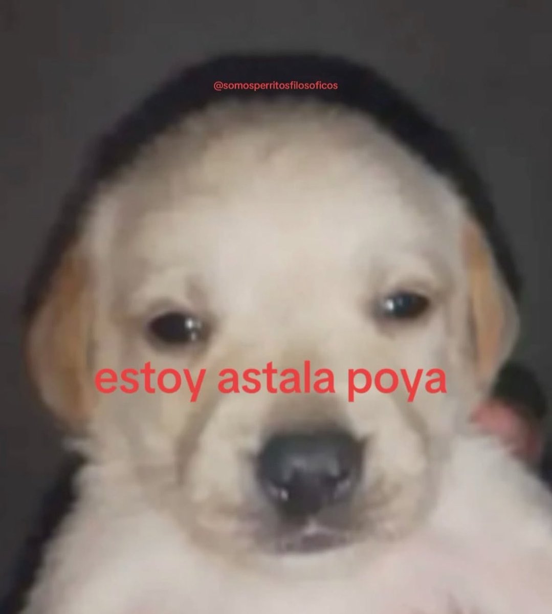 memes feos yo qué sé (@memefeos) on Twitter photo 