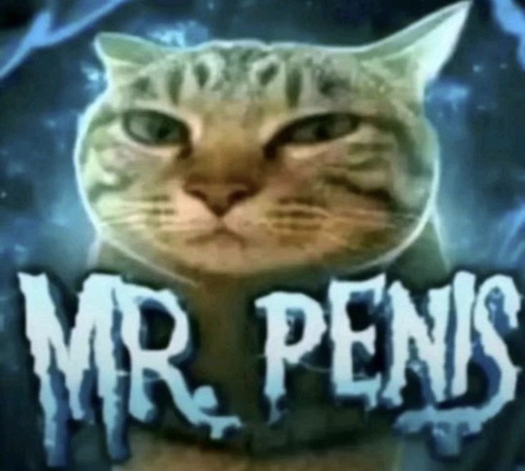 MasaDawg tweet media