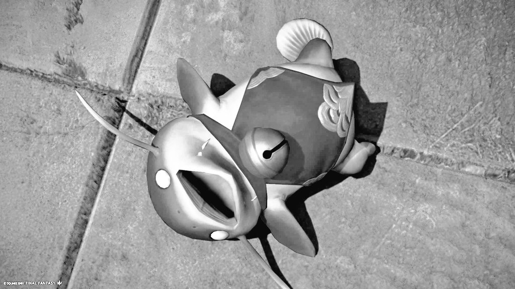 あき(るるぽんぬ)@anima tweet media