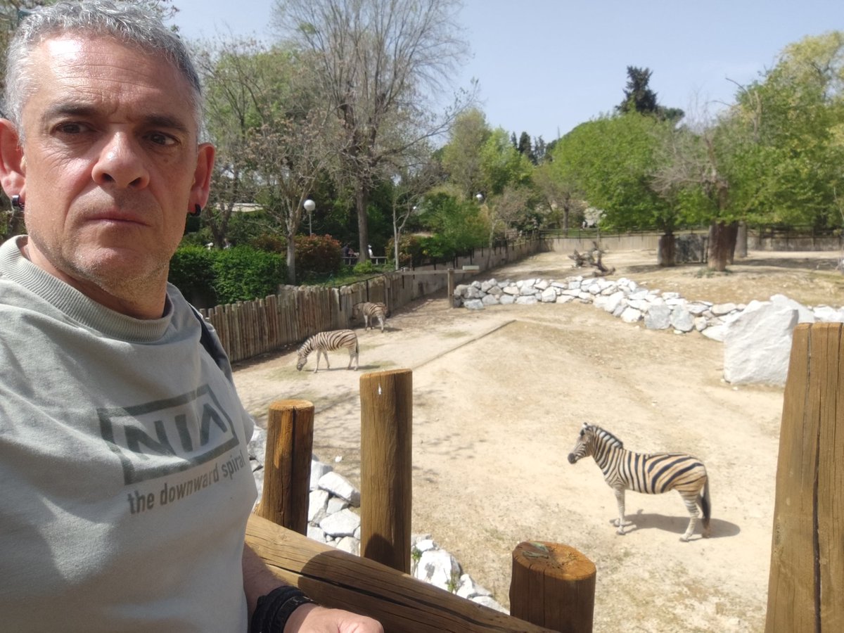 Zebra naiz eta harro nago.
#GUazenREALA
#realsociedad
#reala
#wearereal