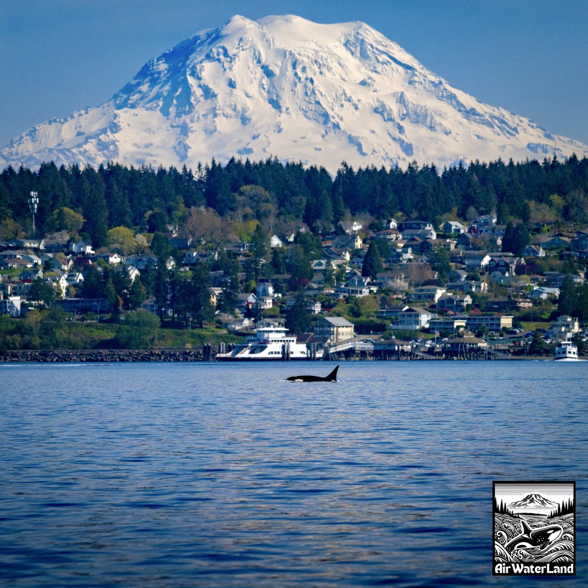 AirWaterLand Photography tweet media