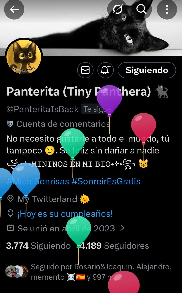 La Niña Pájaro ♰ tweet media