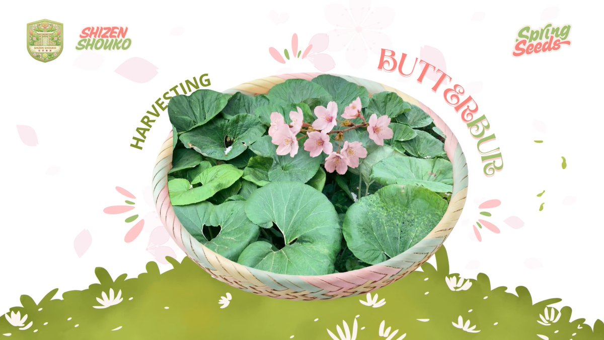 𝗚𝗮𝗿𝗱𝗲𝗻 𝗖𝗼. tweet media