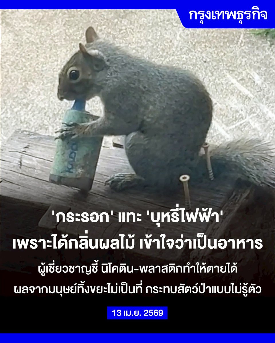 กรุงเทพธุรกิจ tweet media